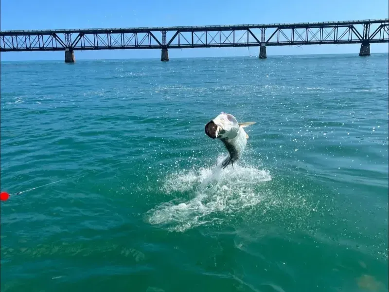 Florida Keys Fishing Report - October 21, 2026